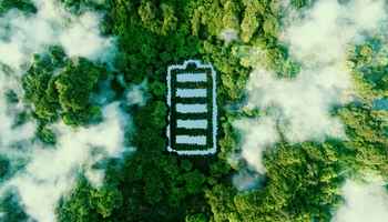rainforest with battery bond sustainability