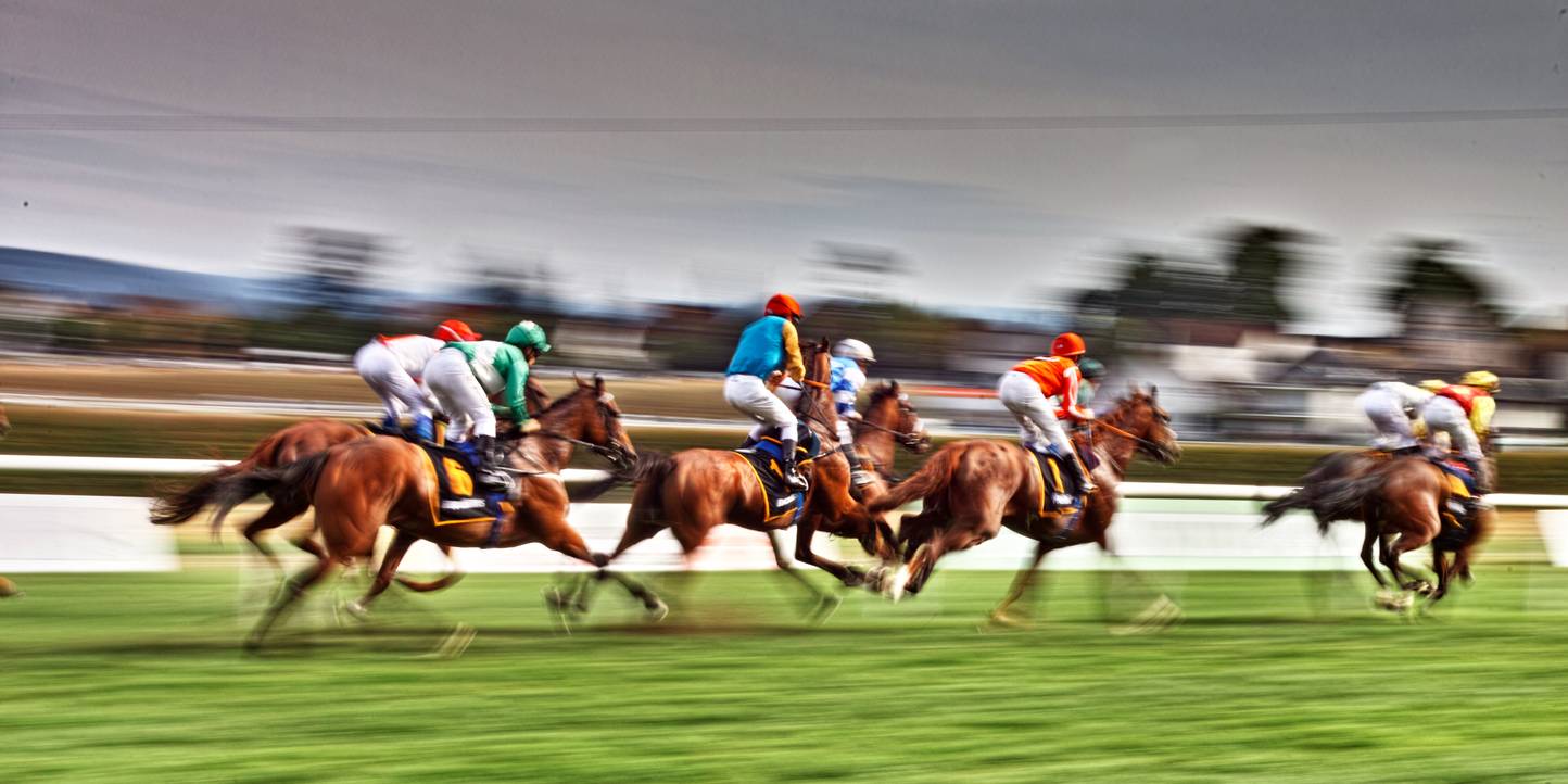 horse racing