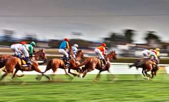 horse racing