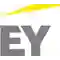 Ernst & Young logo