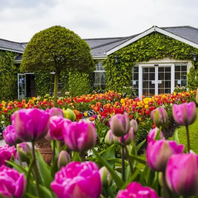Exterior of hotel with flowers