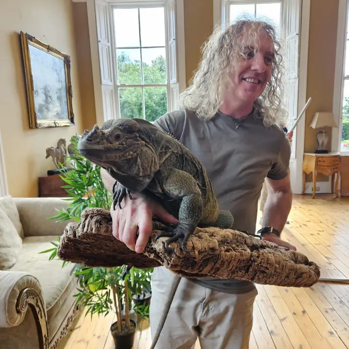 Child interacting with a live lizard during the reptile show at Murphy Group Family Day 2025