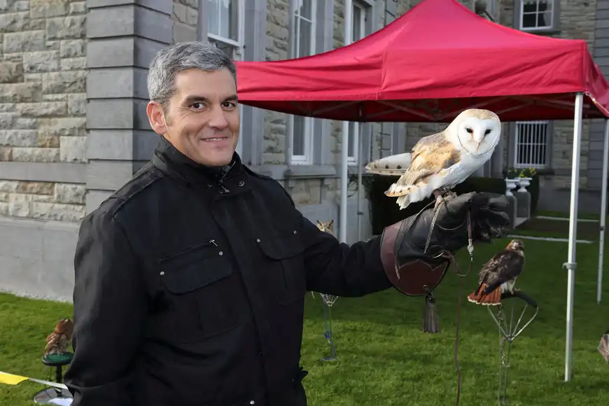 falconry country pursuits outdoor team building ireland