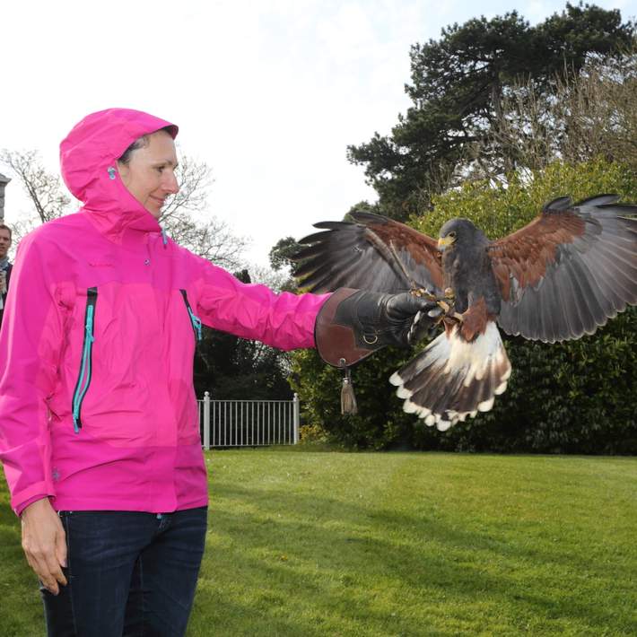 woman and falcon