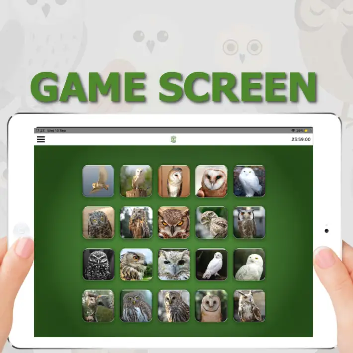 Custom CSR game screen on tablet showing quiz interface with Irish bird images used during a bespoke team building activity for 300 attendees.