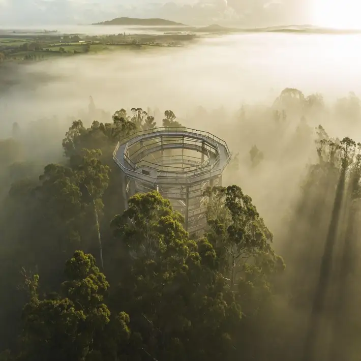 Panoramic view from the top of the Viewing Tower overlooking Wicklow’s forest landscape