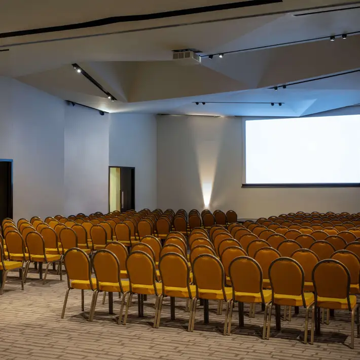   Anantara_The_Marker_Dublin_Hotel_Meeting_Room_The_Marker_Theater