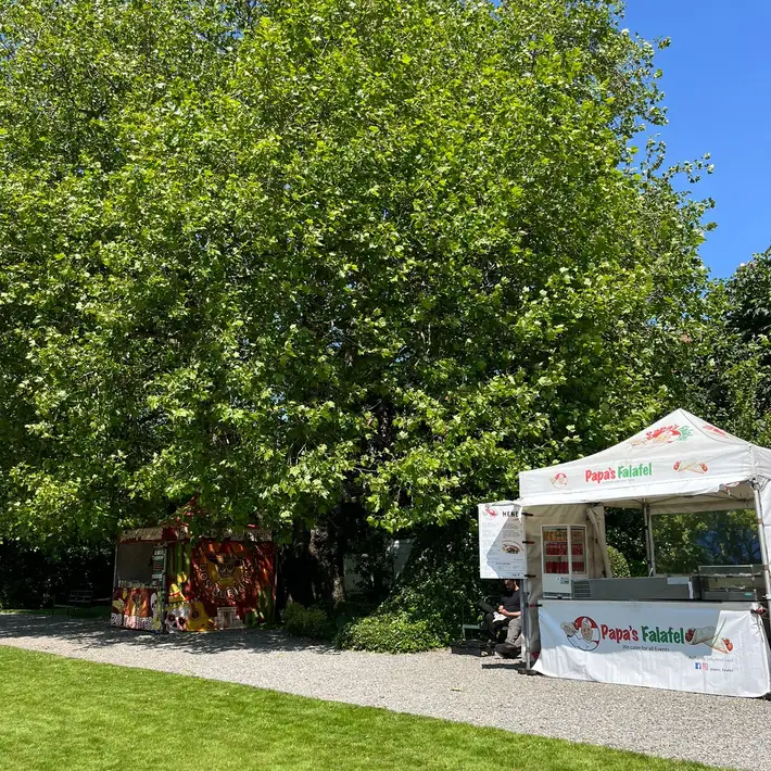 Food vendors serving staff at a corporate business lunch event in Fitzwilliam Square, with branded market stalls on grass.