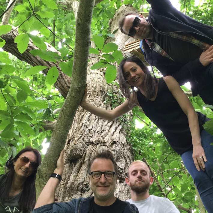 people in tree