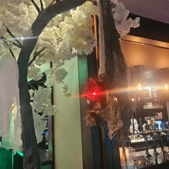 Bat decoration hanging from a tree with red eyes lighting up 