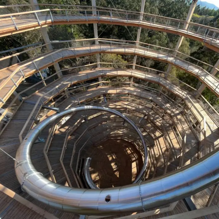 Aerial view of the Treetop Walk weaving through Avondale Forest Park