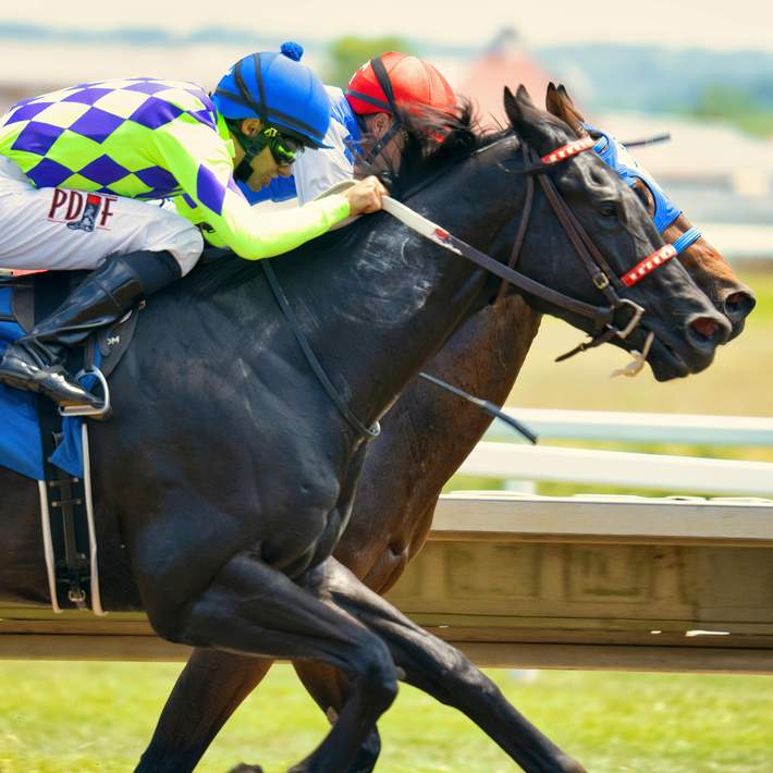 horse racing