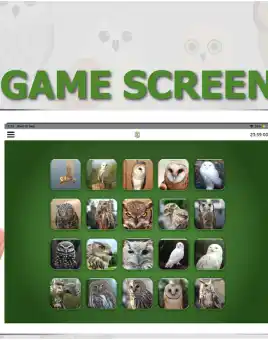 Custom CSR app based Game for 300 Attendees in ireland