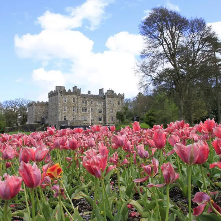waterford castle resort exterior