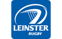 Leinster Rugby Club Family Day: A Celebration That Included Everyone graphic