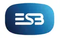 ESB Induction Event For New Employees graphic