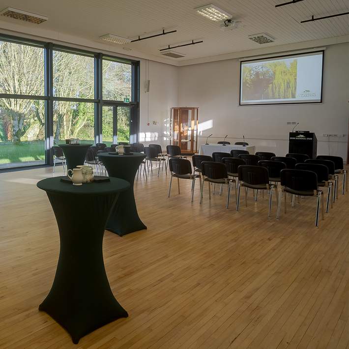 irish national stud conference space