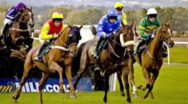 Horse racing