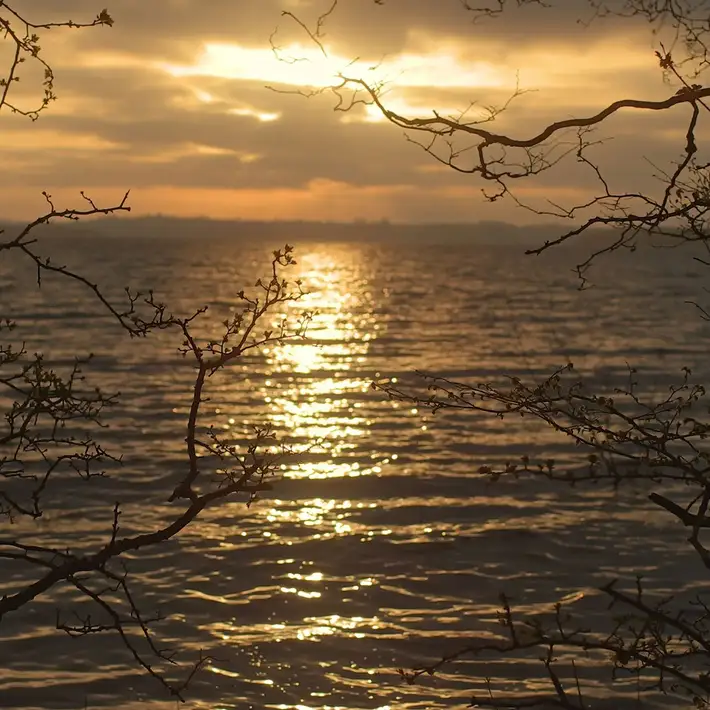 Corporate Team Building at Hodson Bay Hotel | Dynamic Events