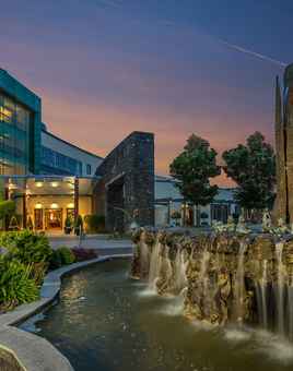 Corporate Team-Building Events at Fota Island Resort | Dynamic Events