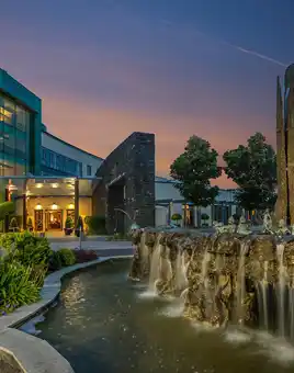 Corporate Team-Building Events at Fota Island Resort | Dynamic Events