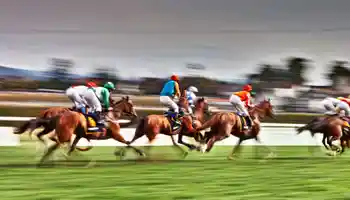 horse racing