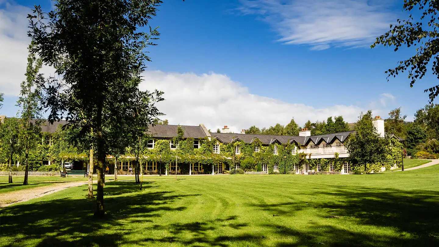 Plan your Corporate Team-Building at BrookLodge & Macreddin Village | Dynamic Events