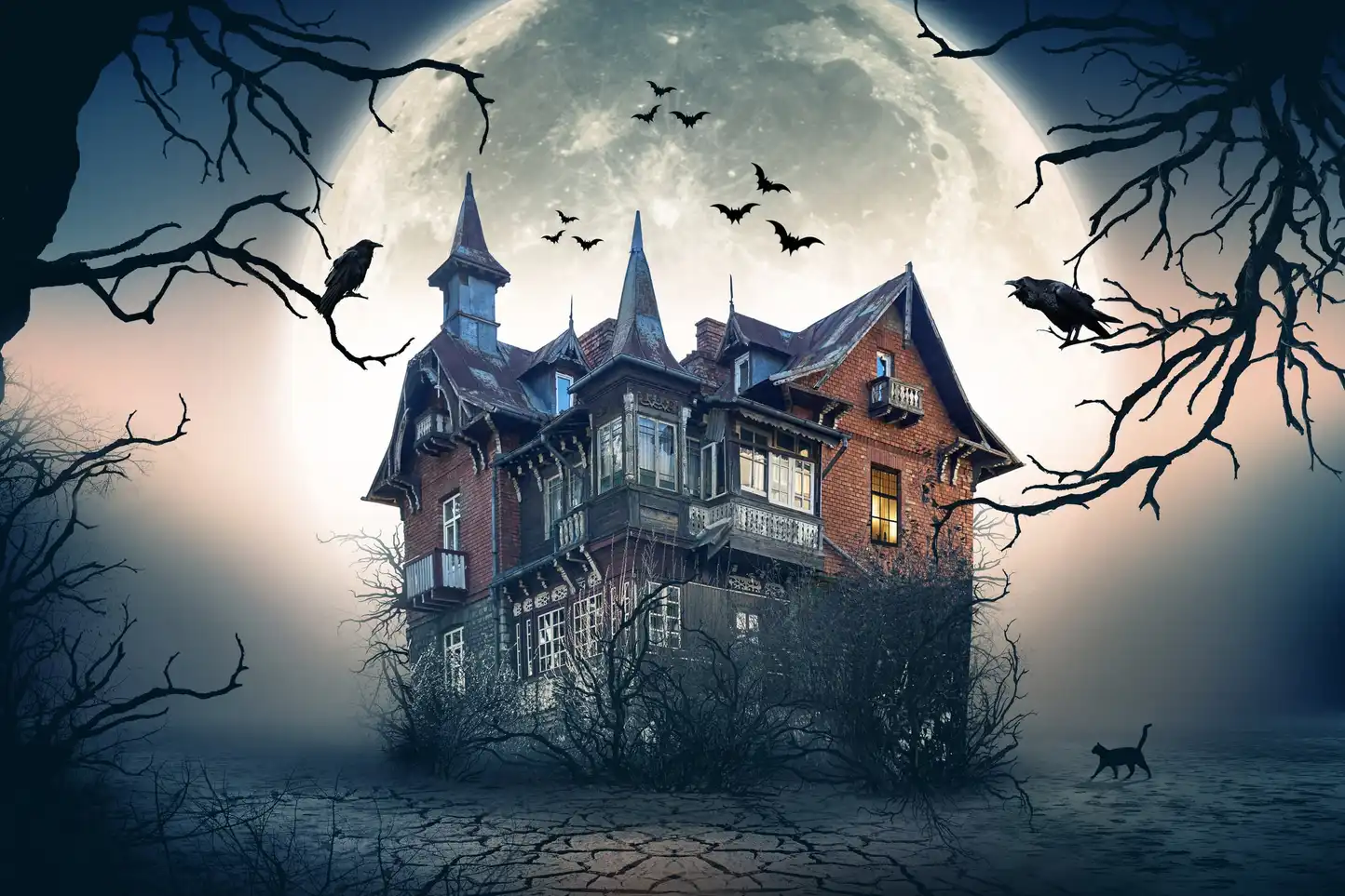 Spooky manor house with bats and crows at night for Manor House Murder corporate murder mystery team building event in Ireland