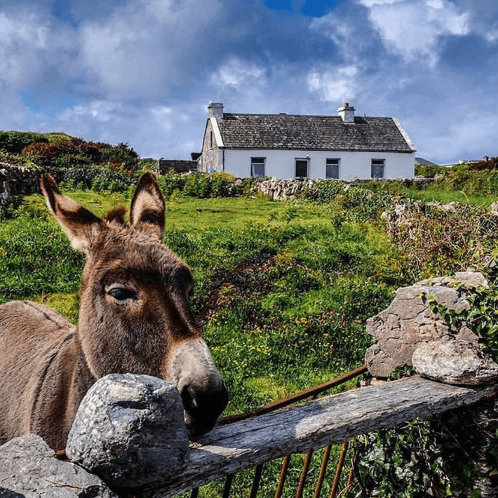 Corporate Team Building at The Aran Islands Hotel | Dynamic Events