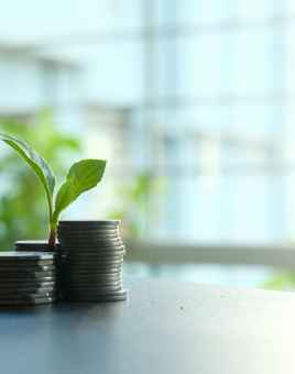 return on investment with team building