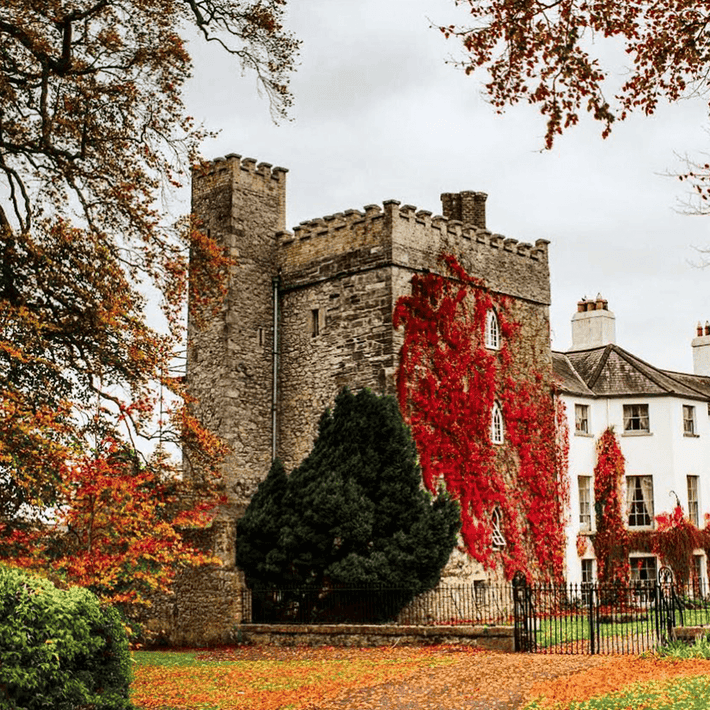 Corporate Team-Building Activities at Barbstown Castle | Dynamic Events