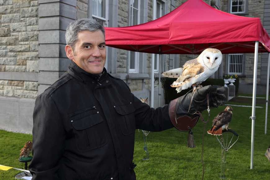 falconry country pursuits outdoor team building ireland