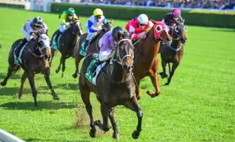 Horse racing team building activity ireland