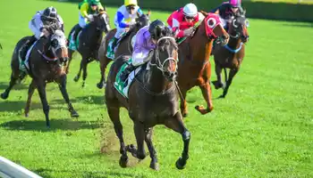 Horse racing team building activity ireland