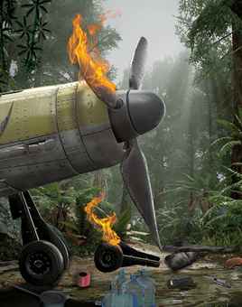 jungle survival plane crash site game